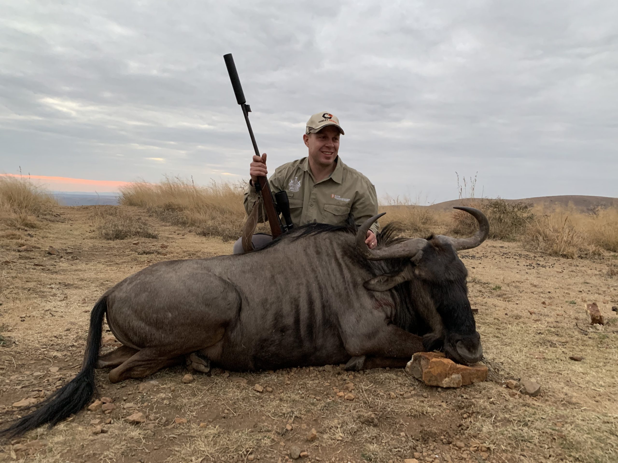 Wildebeest on safari